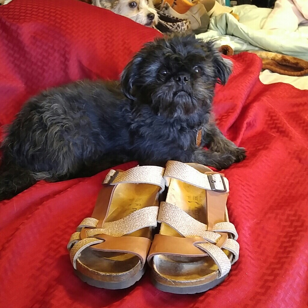 Women's sandal